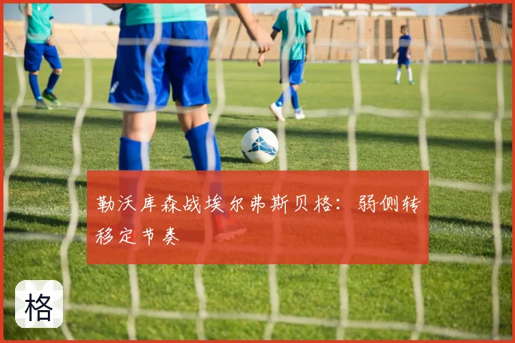勒沃库森战埃尔弗斯贝格：弱侧转移定节奏